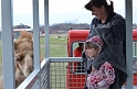 Kids_SharkarosaRanch-2013 (52)